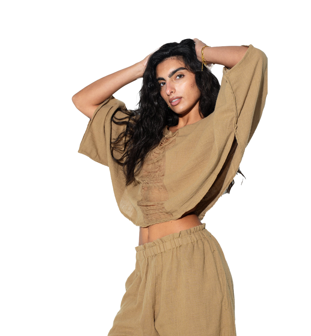https://cdn.shopify.com/s/files/1/0395/9629/4310/files/1222.png?v=1769616099