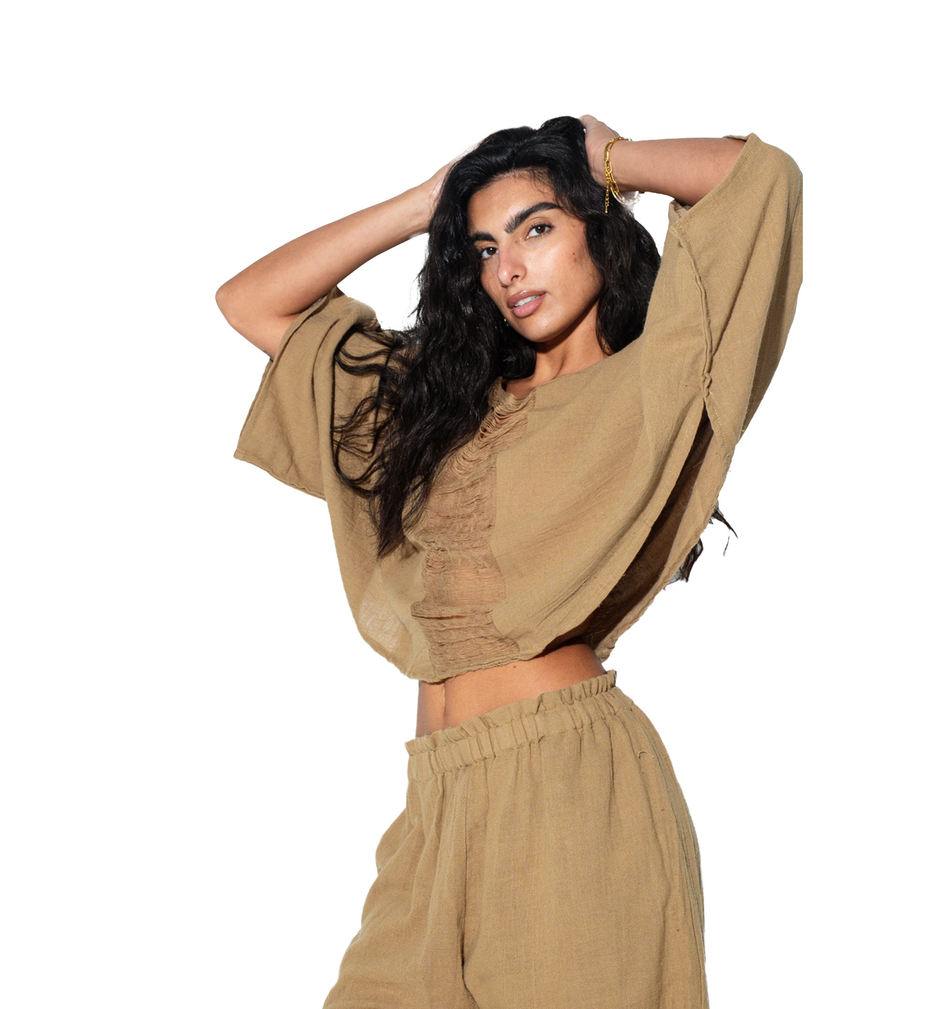 https://cdn.shopify.com/s/files/1/0395/9629/4310/files/1222.png?v=1769616099