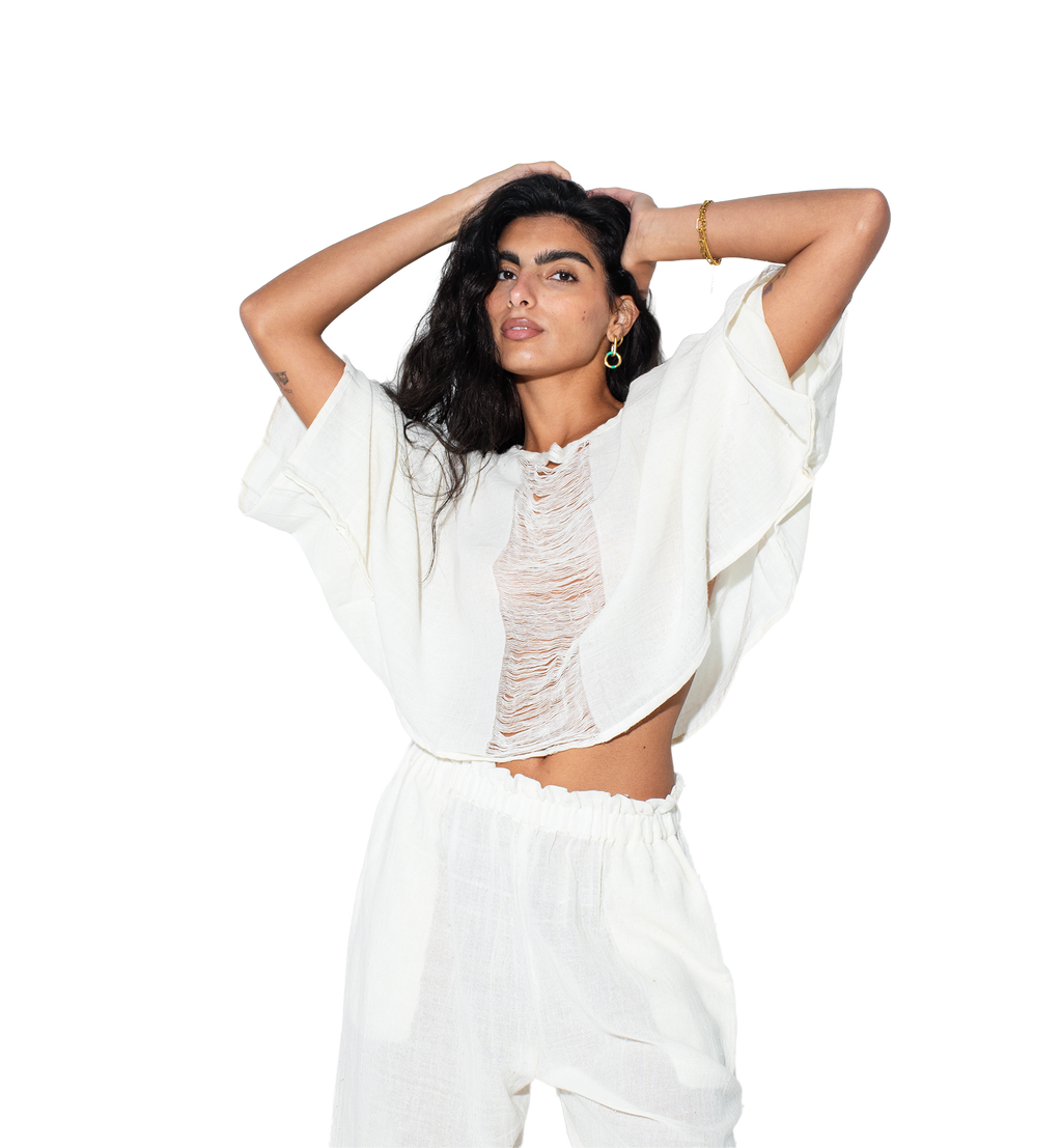 https://cdn.shopify.com/s/files/1/0395/9629/4310/files/45412.png?v=1769616099