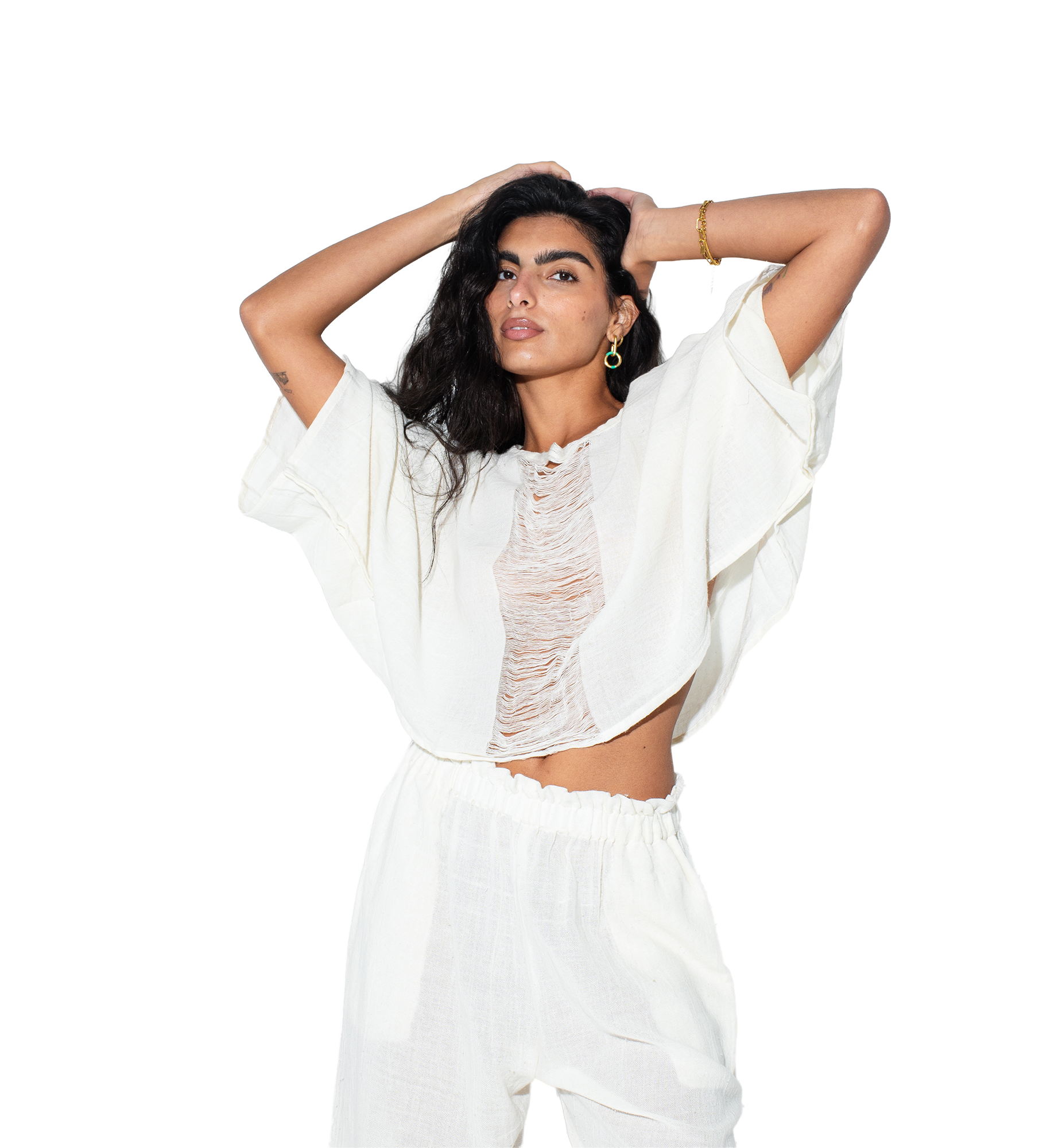 https://cdn.shopify.com/s/files/1/0395/9629/4310/files/45412.png?v=1769616099