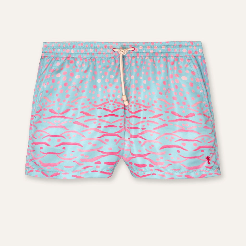 https://cdn.shopify.com/s/files/1/0853/1227/4697/files/k-a-m-p-o-s-swim-shorts-parrot-fish-492389.jpg?v=1741948206